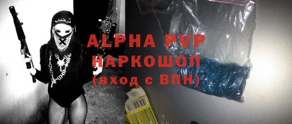 сатива Новозыбков