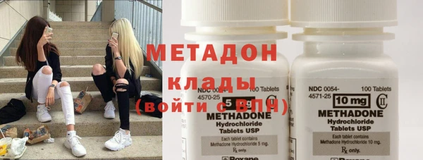 сатива Новозыбков