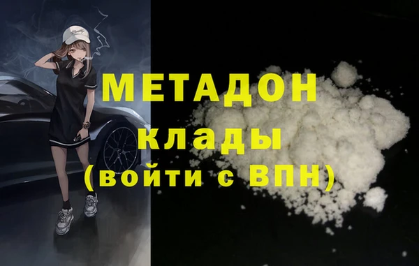 сатива Новозыбков