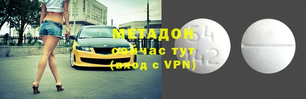 сатива Новозыбков