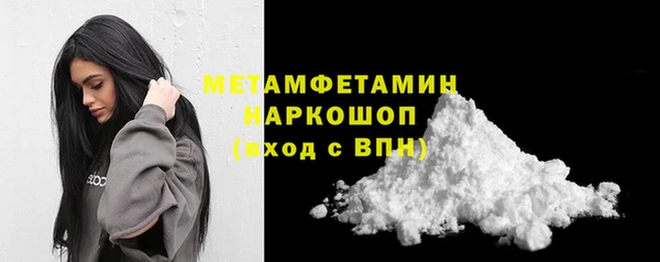сатива Новозыбков
