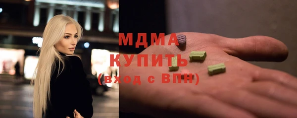 сатива Новозыбков