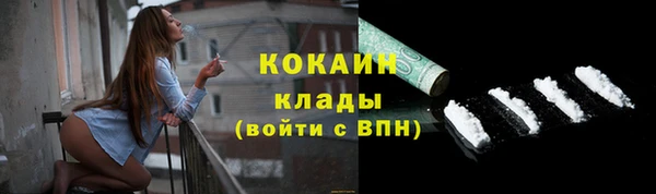 сатива Новозыбков