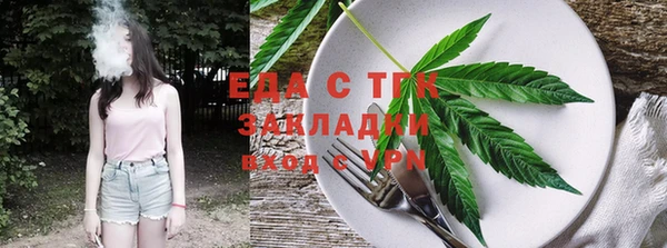 сатива Новозыбков