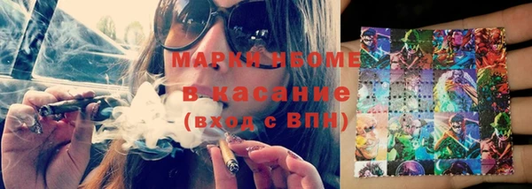 сатива Новозыбков