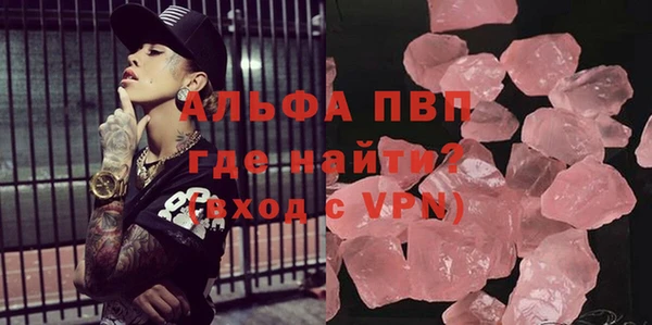 сатива Новозыбков