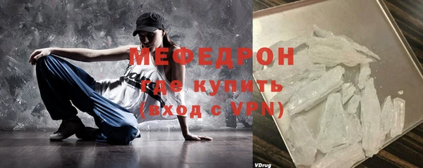 сатива Новозыбков