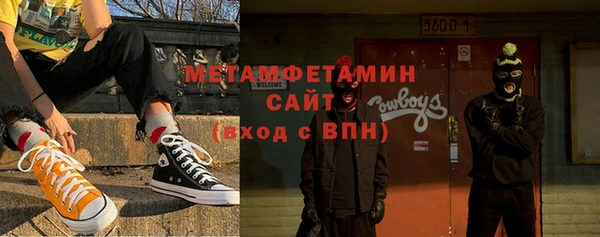 сатива Новозыбков
