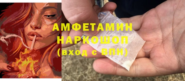 сатива Новозыбков