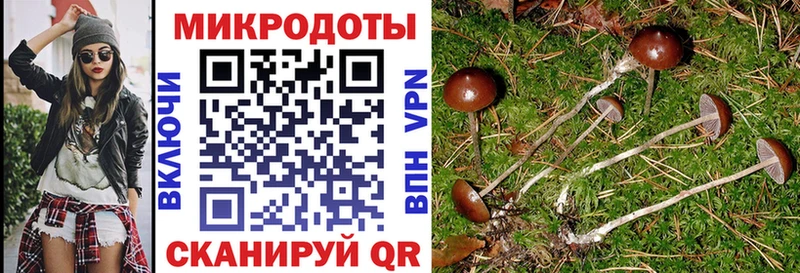 Галлюциногенные грибы Magic Shrooms  mega рабочий сайт  Чулым 